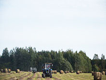 мосарский "льнозавод"